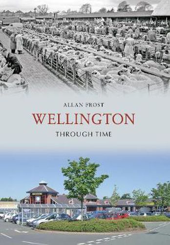 Cover image for Wellington Through Time