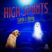 Cover image for High Spirits