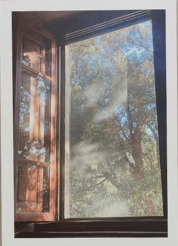 Cover image for In Constant Hilarity