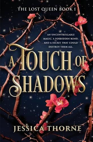 Cover image for A Touch of Shadows