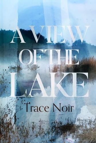 Cover image for A View of the Lake