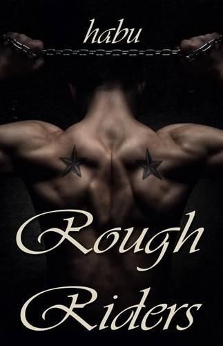 Cover image for Rough Riders: A Gay Erotica Anthology