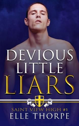 Devious Little Liars: A High School Bully Romance