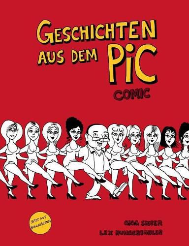 Cover image for Geschichten aus dem Pic: Comic