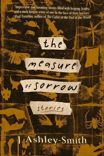 Cover image for The Measure of Sorrow