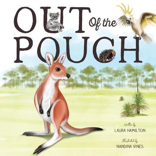 Cover image for Out of the Pouch