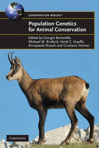 Cover image for Population Genetics for Animal Conservation