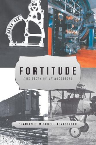 Cover image for Fortitude