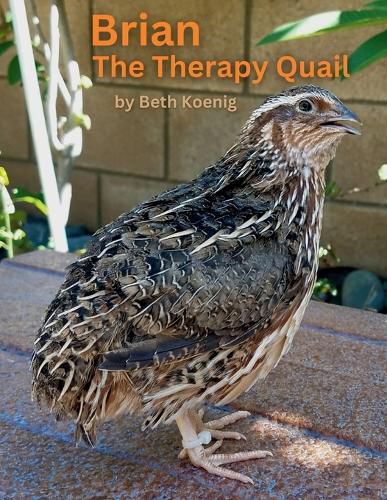 Cover image for Brian The Therapy Quail