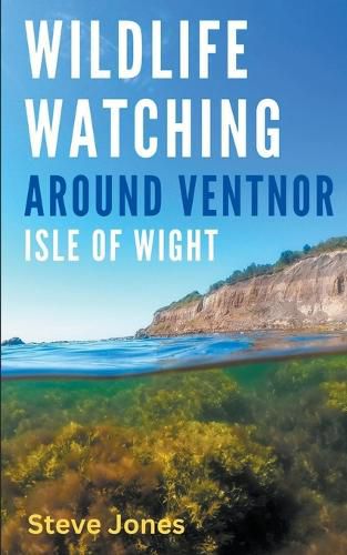 Cover image for Wildlife Watching Around Ventnor, Isle of Wight