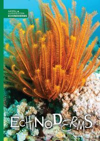 Cover image for Echinoderms