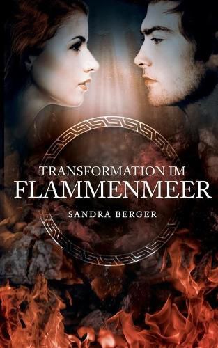 Cover image for Transformation im Flammenmeer