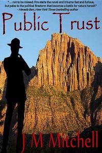 Cover image for Public Trust