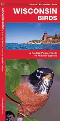 Cover image for Wisconsin Birds: A Folding Pocket Guide to Familiar Species