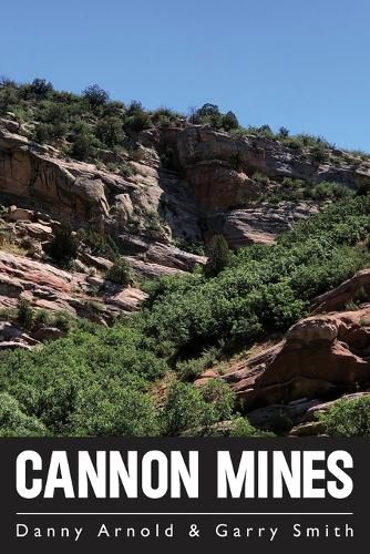 Cannon Mines