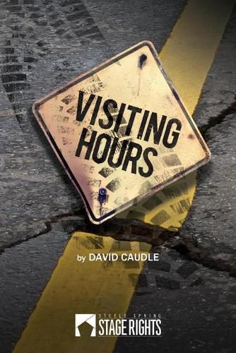 Cover image for Visiting Hours