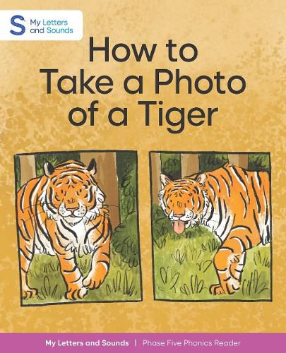 How to Take a Photo of a Tiger
