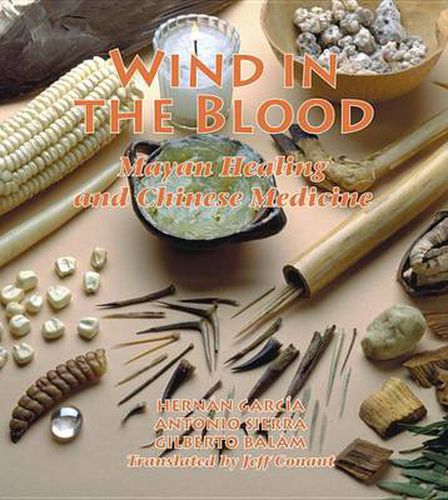 Cover image for Wind in the Blood: Mayan Healing and Chinese Medicine