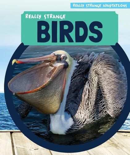 Really Strange Birds