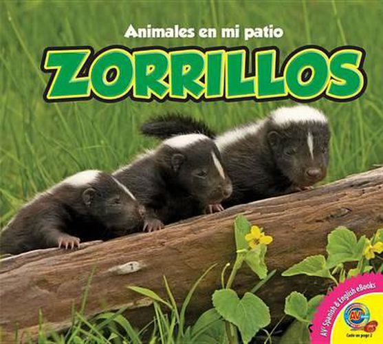 Cover image for Zorrillos, With Code