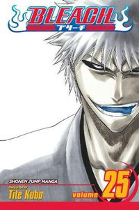 Cover image for Bleach, Vol. 25