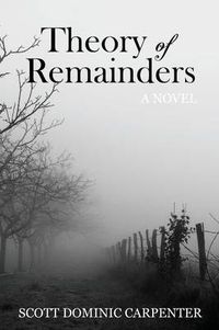 Cover image for Theory of Remainders