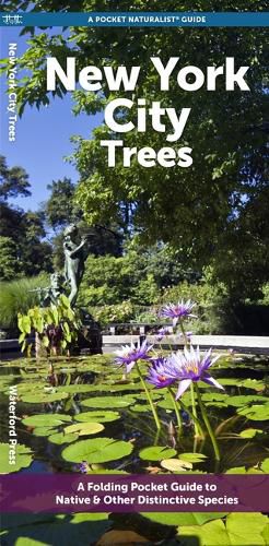 Cover image for New York City Trees: A Folding Pocket Guide to Familiar Plants