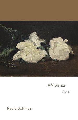 Cover image for A Violence