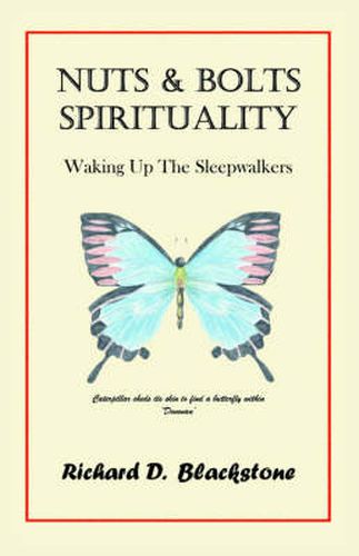 Cover image for Nuts and Bolts Spirituality: Waking Up the Sleepwalkers