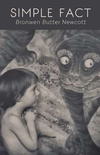 Cover image for Simple Fact