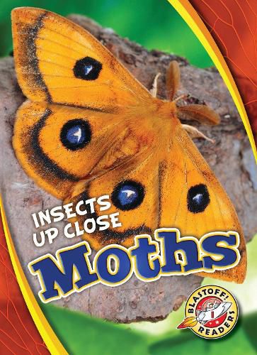 Cover image for Moths