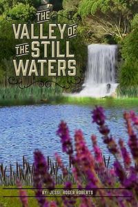 Cover image for The Valley of the Still Waters
