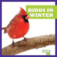 Cover image for Birds in Winter