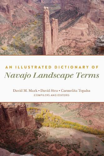 Cover image for An Illustrated Dictionary of Navajo Landscape Terms