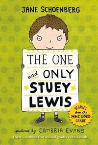 Cover image for The One and Only Stuey Lewis: Stories from the Second Grade