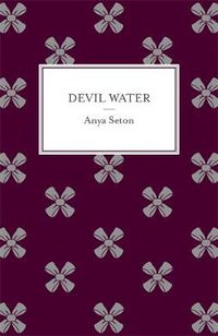 Cover image for Devil Water