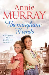 Cover image for Birmingham Friends
