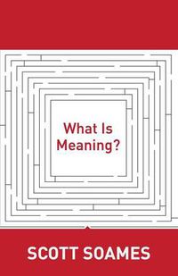 Cover image for What is Meaning?