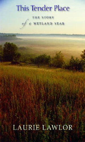 Cover image for This Tender Place: The Story of a Wetland Year