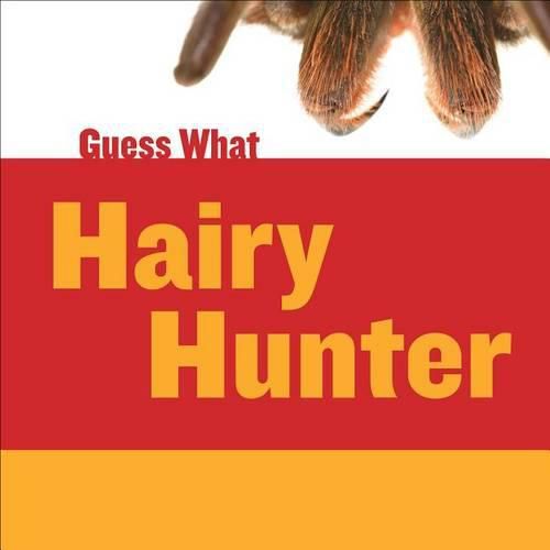 Cover image for Hairy Hunter: Tarantula