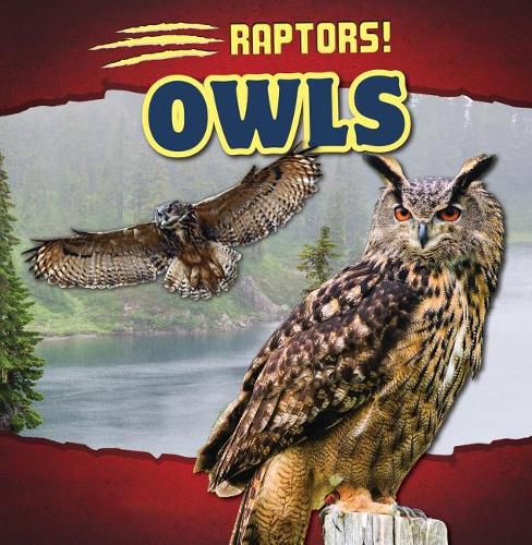 Cover image for Owls