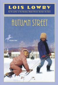 Cover image for Autumn Street
