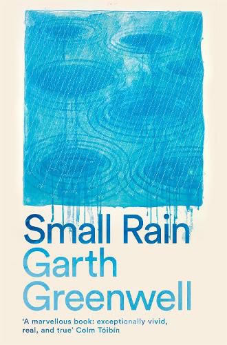 Cover image for Small Rain