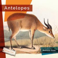 Cover image for Antelopes