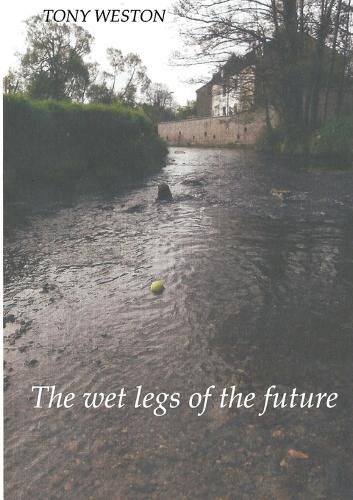 Cover image for The Wet Legs of the Future