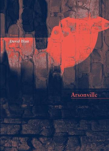 Cover image for Arsonville