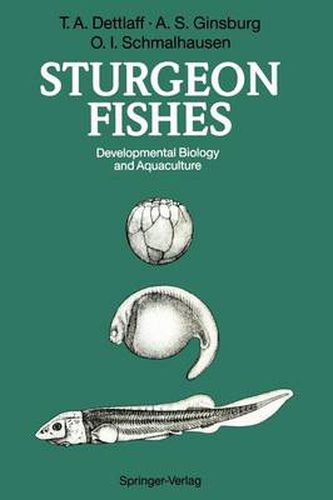 Cover image for Sturgeon Fishes: Developmental Biology and Aquaculture