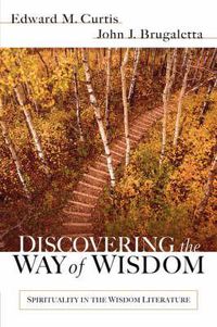 Cover image for Discovering the Way of Wisdom