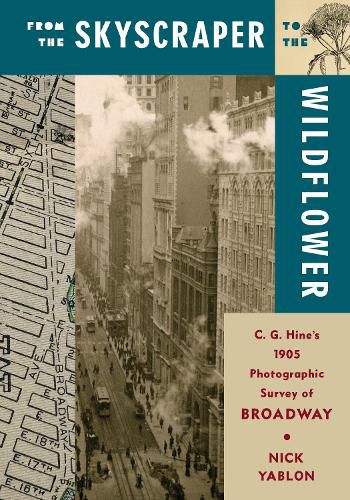 Cover image for From the Skyscraper to the Wildflower