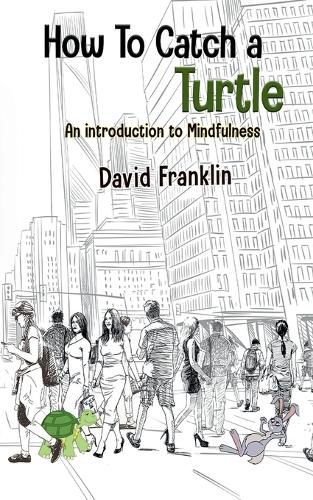Cover image for How to Catch a Turtle